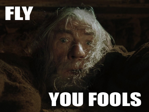 Fly, you fools